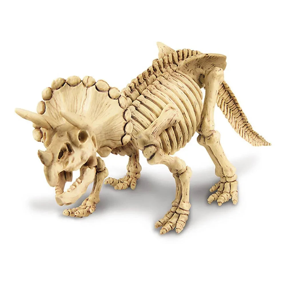 4M - Triceratops Ausgrabungsset