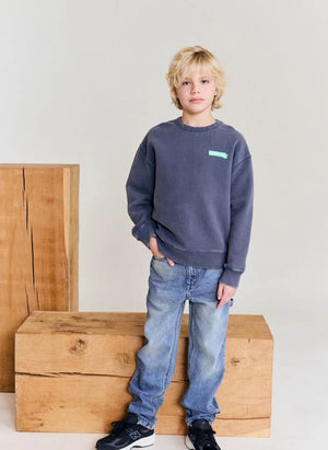 AO76 - Oscar Doggy aus recycelter Baumwolle Sweatshirt | Kohlegrau
