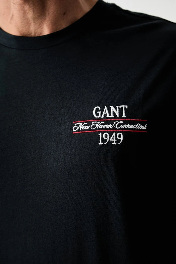 Gant pamuklu erkek tişört