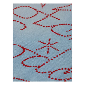 Scotch & Soda – T-Shirt aus gewaschener Bio-Baumwolle mit Artwork | Hellblau