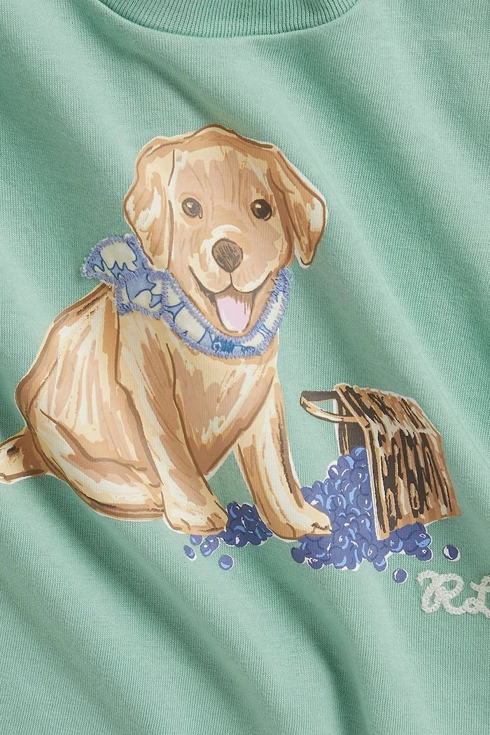 Polo Ralph Lauren Bebek Pamuk Tişört
