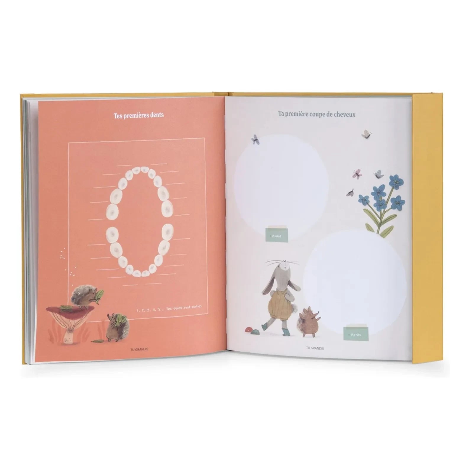Moulin Roty - Geburtsbuch - Trois petits lapins