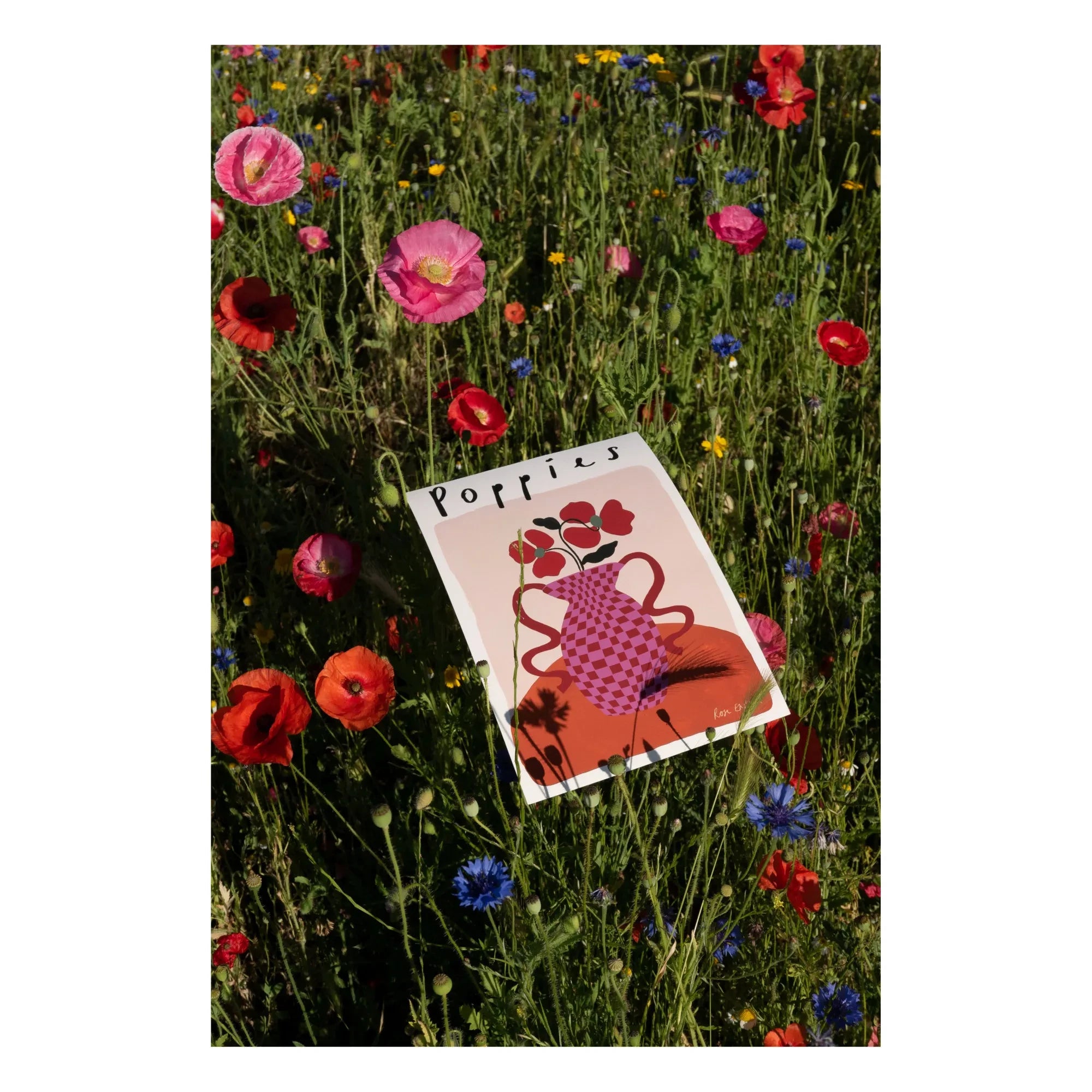 Rose England - Rosa Mohnblumen Poster