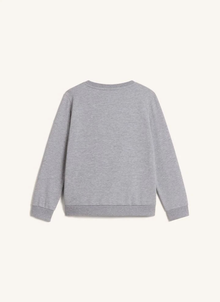 The North Face - Simple Done Sweatshirt | Grau meliert
