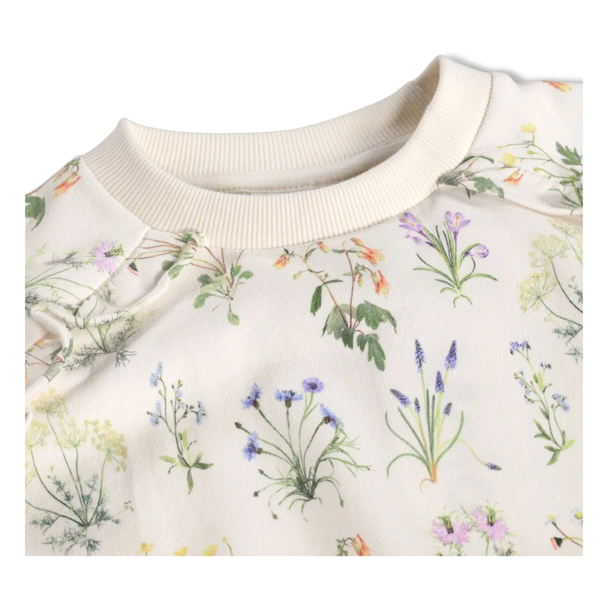 Molo - Mabel Fleuri Sweatshirt aus Bio-Baumwolle | Ecru