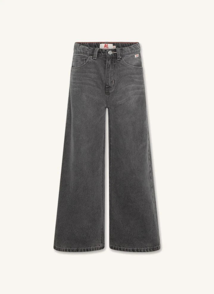 AO76 - Jean Zina Blake | Denim grau