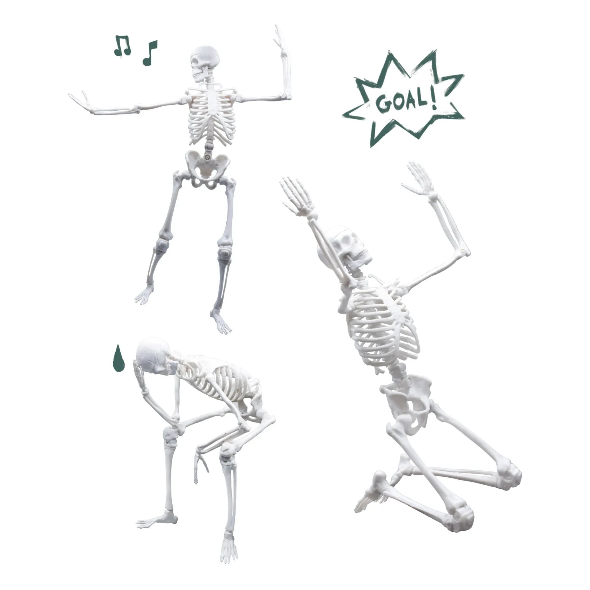 Buki - Skelett 45 cm