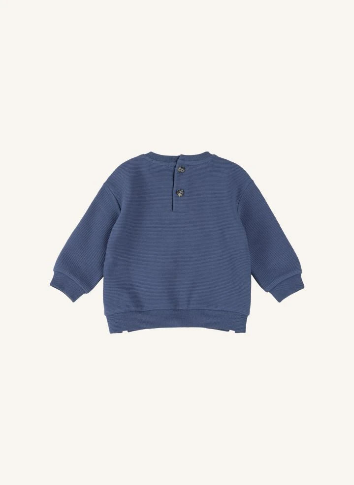 Petit Lem - Organisches Baumwoll-Hund-Sweatshirt- und Jogger-Set | Blau