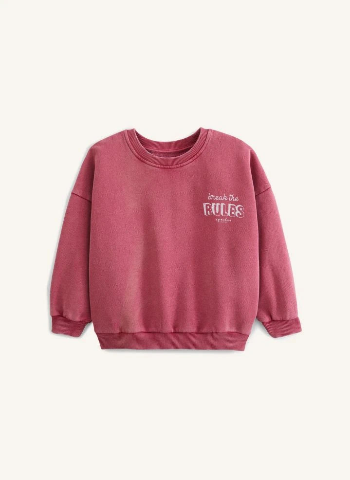 Apaches - Vanya Ente Sweatshirt | Blau