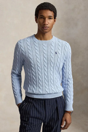 Polo Ralph Lauren erkek pamuklu kazak