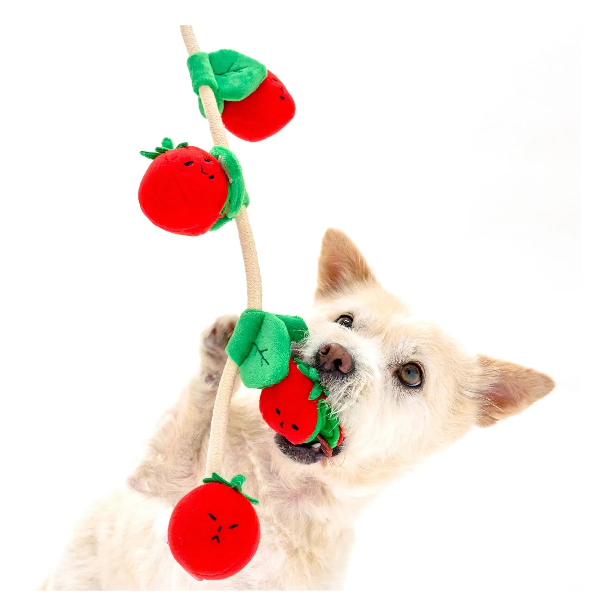 The Furry Folks - Kirschtomate Kratzspielzeug | Tomatenrot