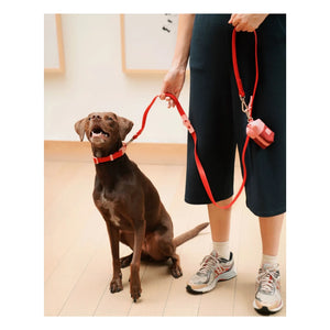 Approved by Fritz - Hundehalsband | Kirschrot
