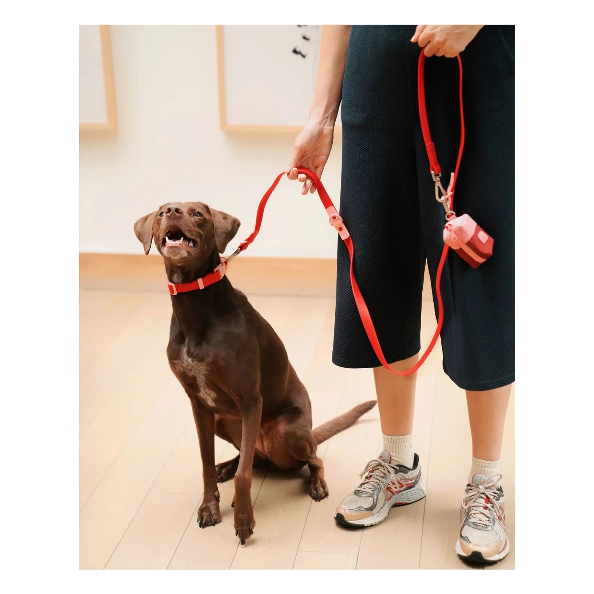 Approved by Fritz - Hundehalsband | Kirschrot