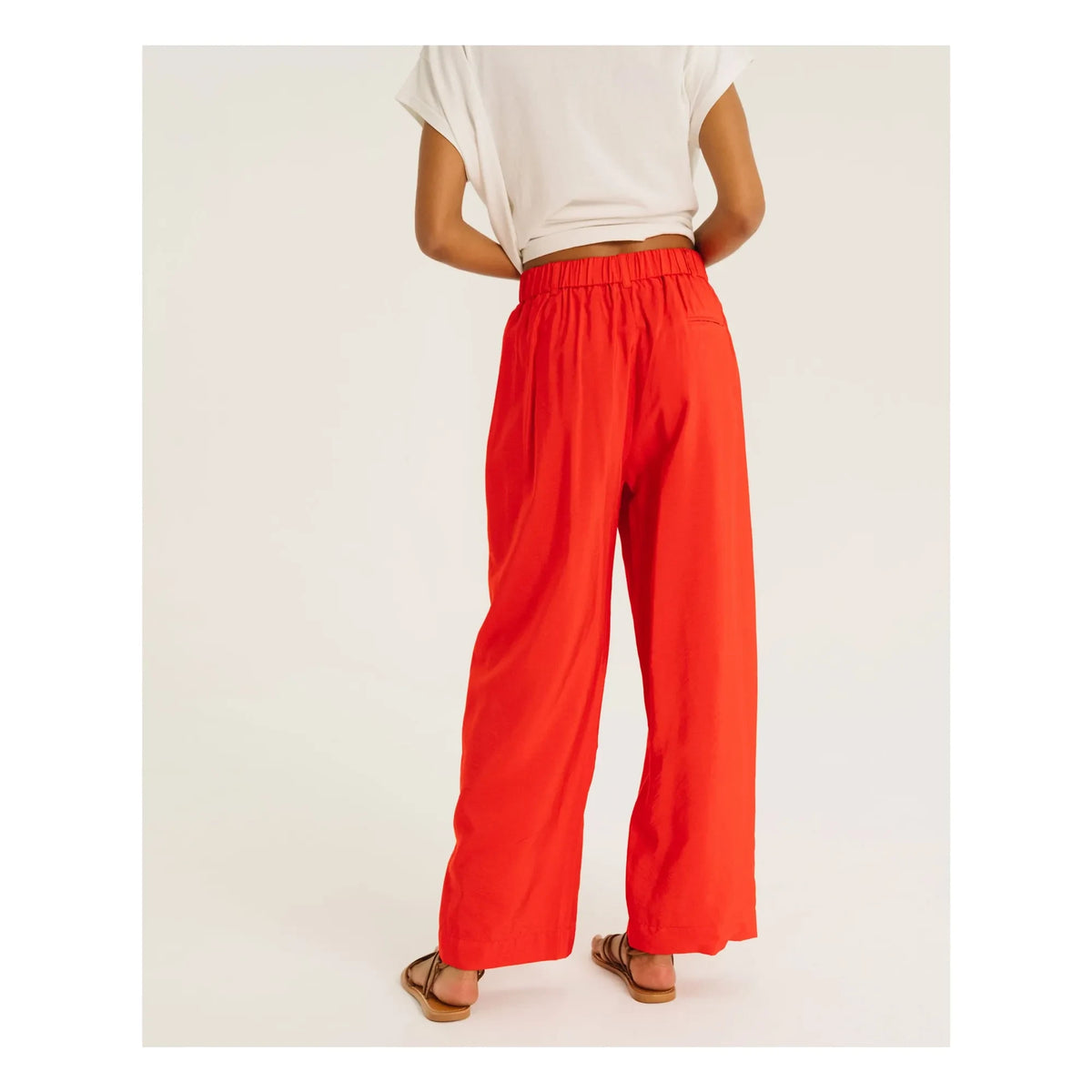 Tinsels - Emir Hose | Karbon