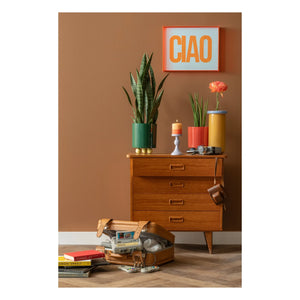 Present Time - Double Funky Blumentopf | Grün