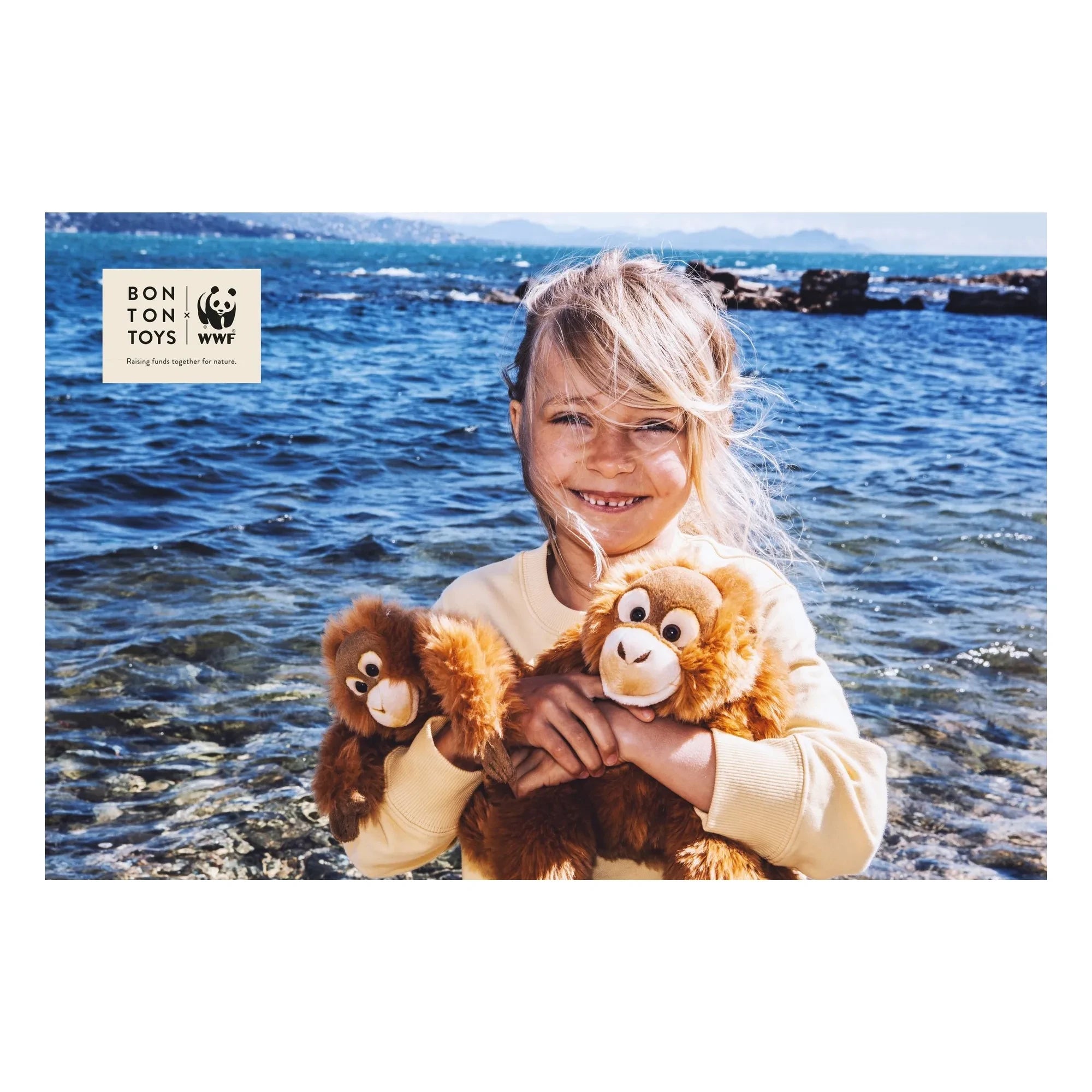 Bon Ton Toys - WWF - Plüsch-Schimpanse | Braun