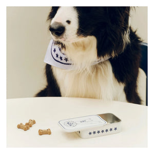Hay - Hunde-Leckerli-Box | Blau