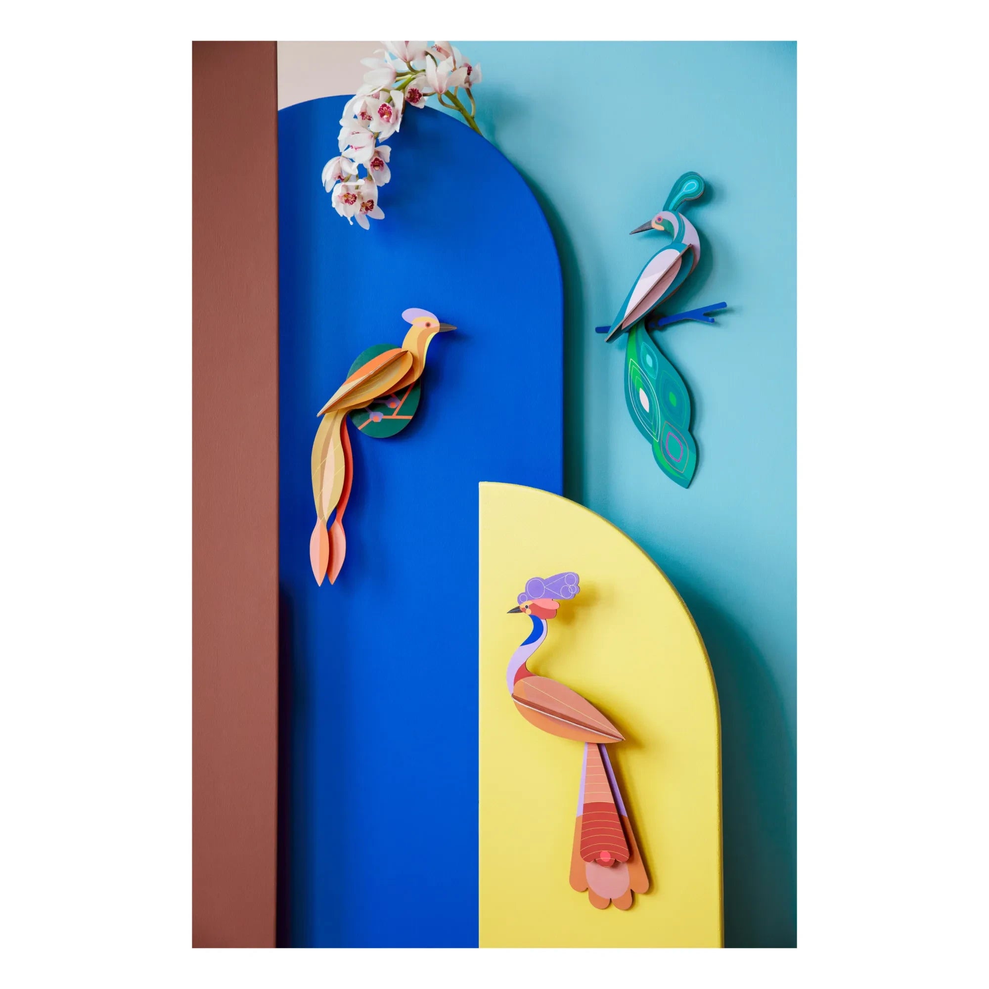 Studio Roof - Fiji Kuş Duvar Dekorasyonu