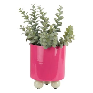 Present Time - Double Funky Blumentopf | Rosa