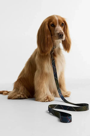 Barbour Köpek Tasması