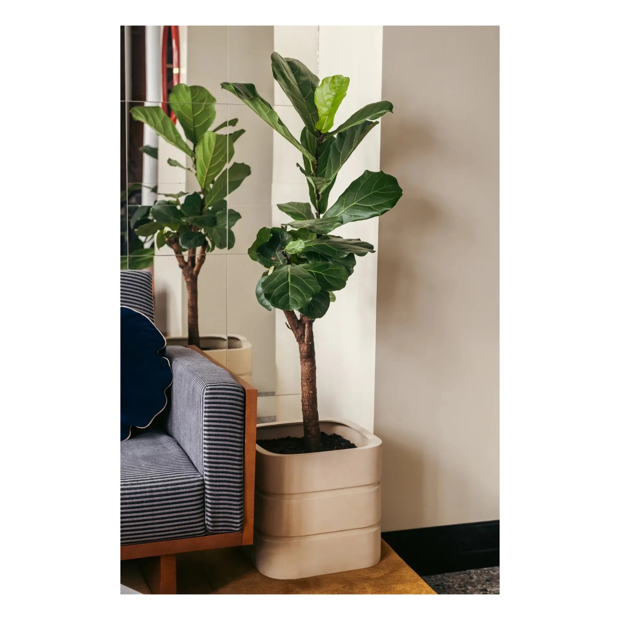 The Socialite Family - Blumentopf Donna aus Keramik | Creme