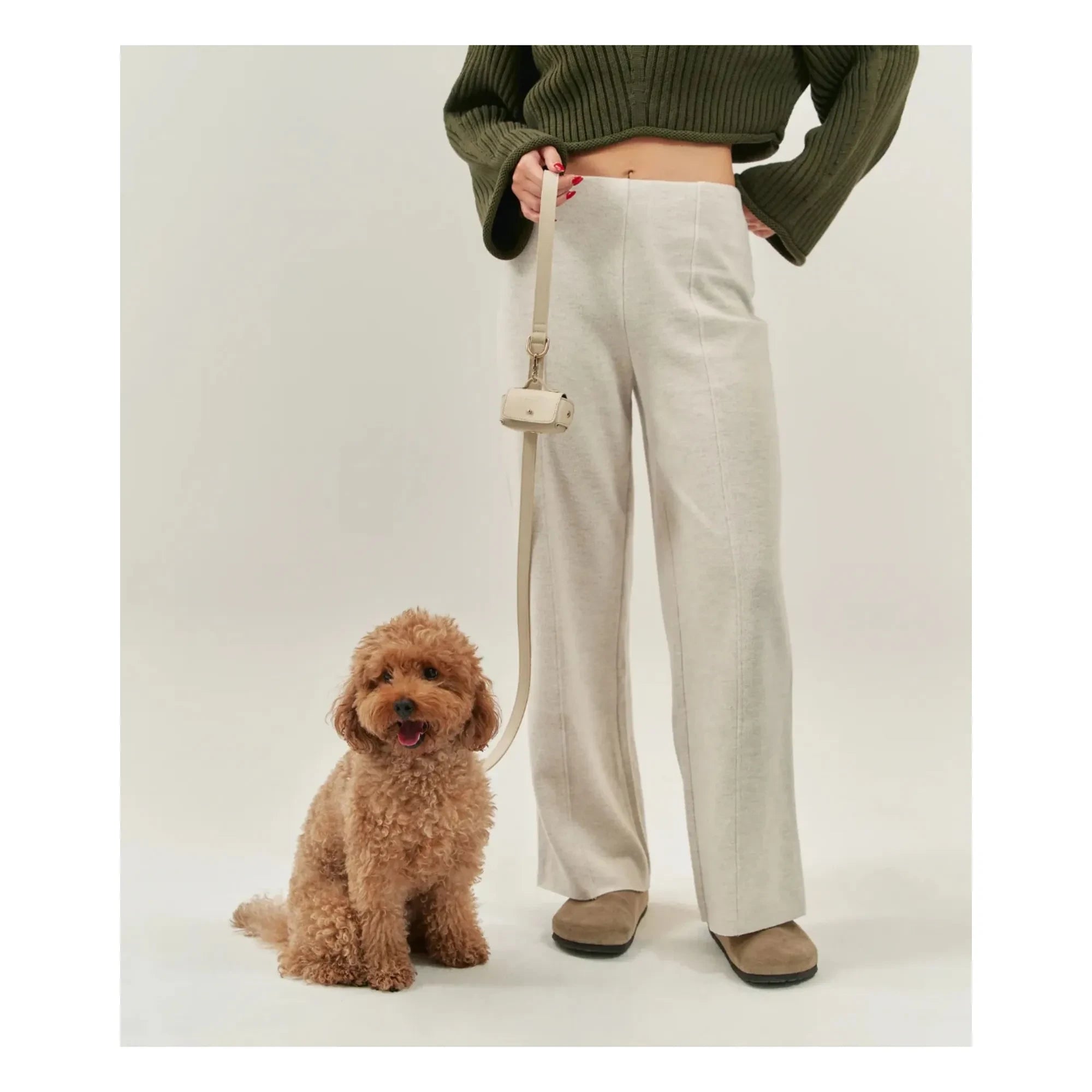 Cafide - Veganes Hundehalsband aus Leder | Beige