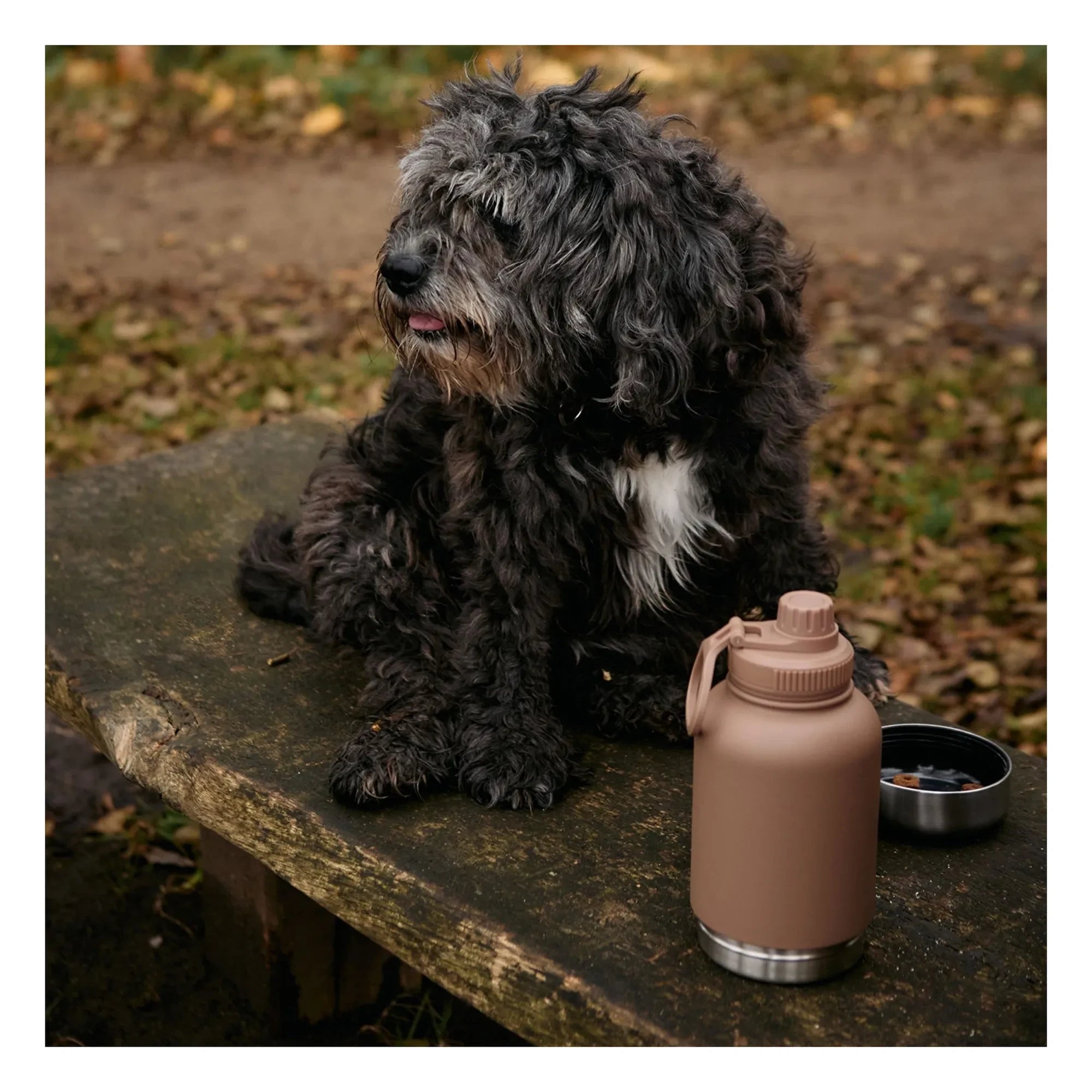 Haps Nordic - Haps Go Hundetrinkflasche - 900 ml | Braun