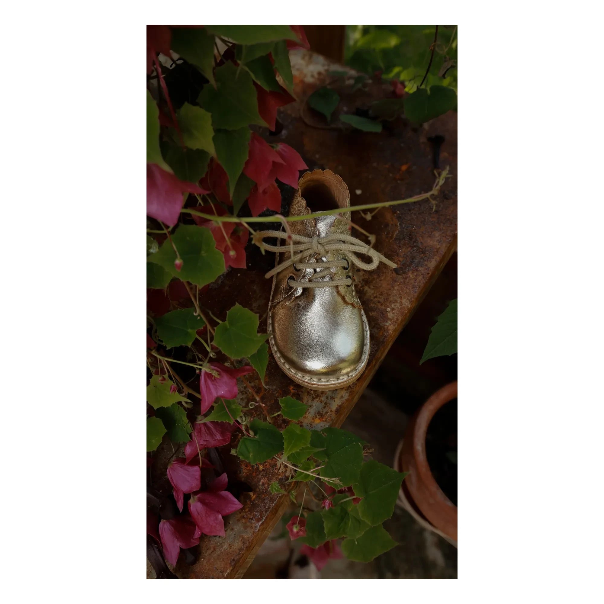 Petit Nord - Muschel Spitzenstiefel | Silber