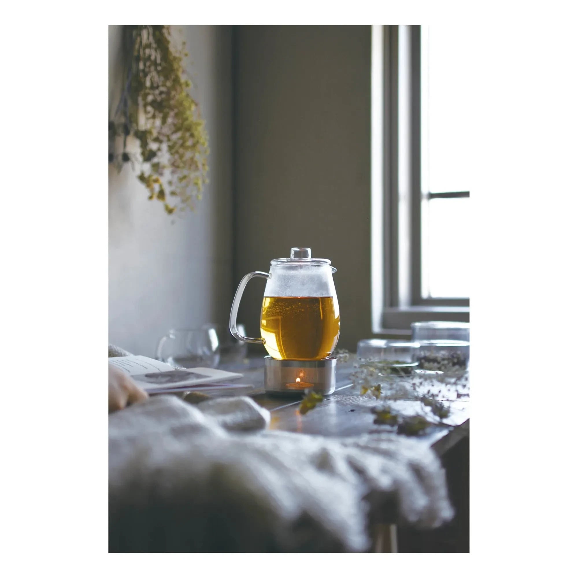 Kinto - Glasteekanne - 680 ml | Transparent
