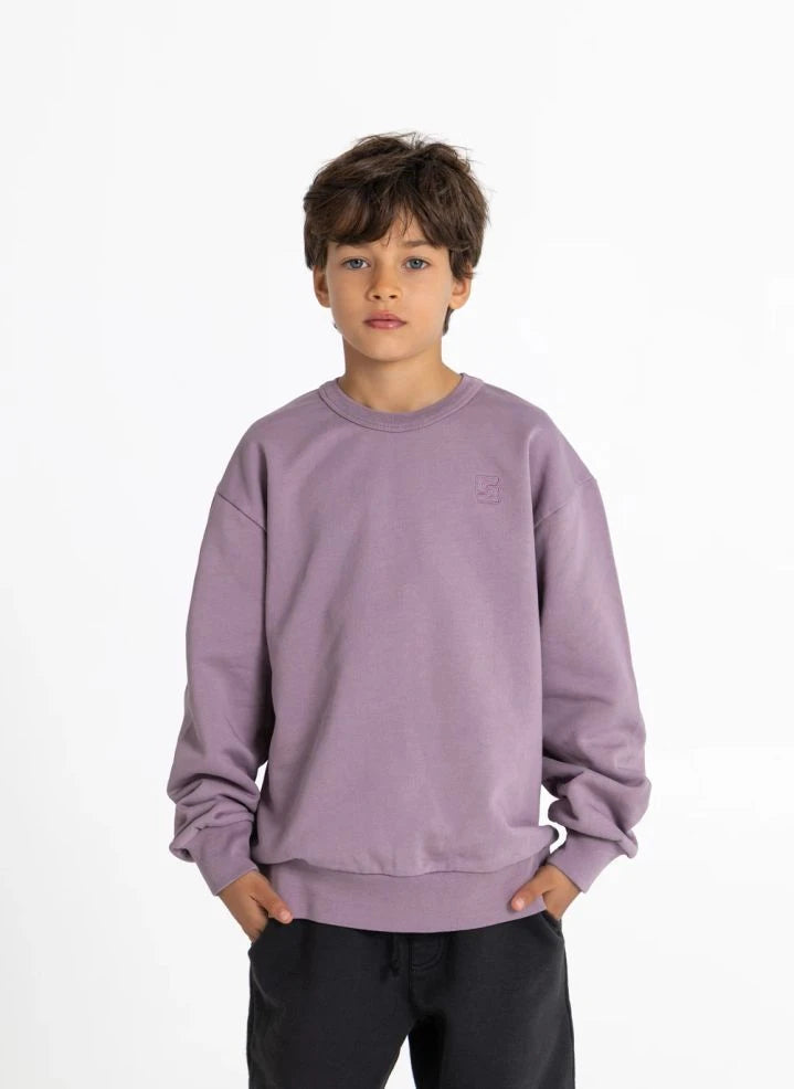 Smallable Kid - Arlo Organische Baumwolle Sweatshirt | Aubergine