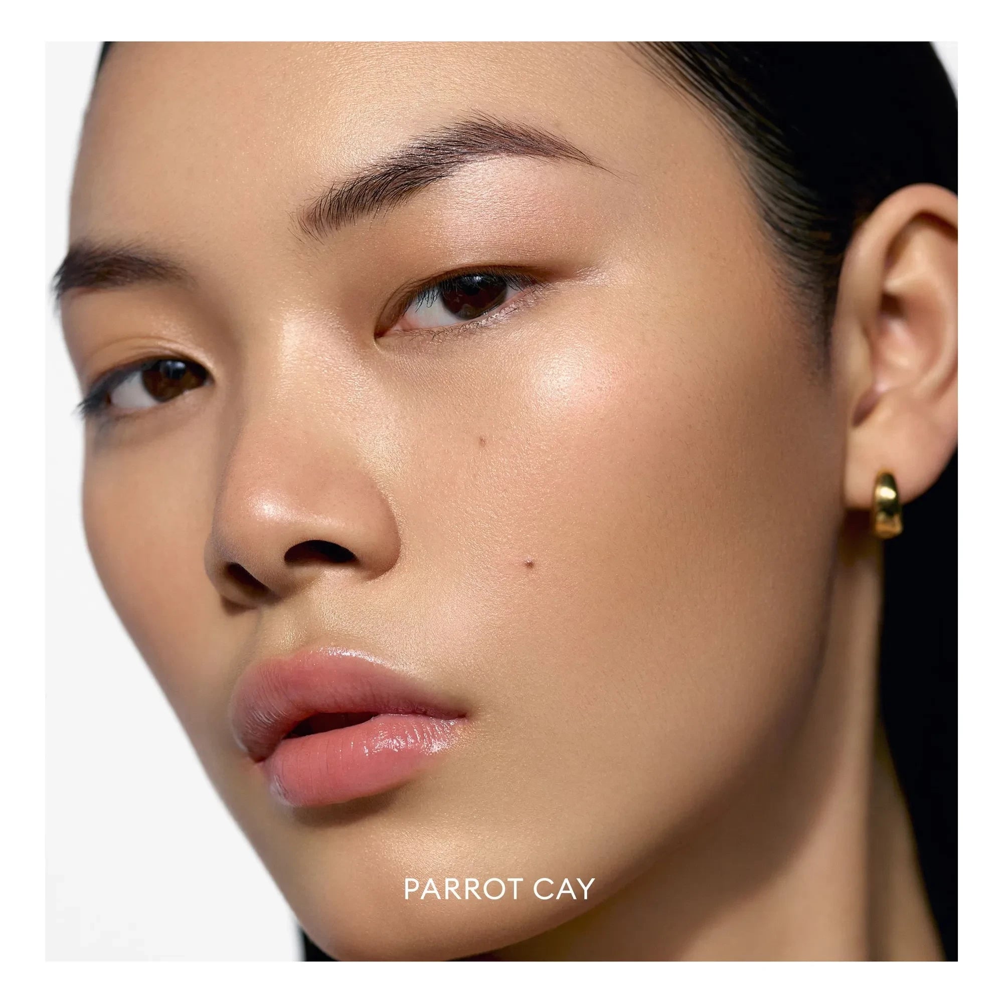 Rose Inc - Solar Infusion Soft-Fokus-Bronzer | Parrot Cay