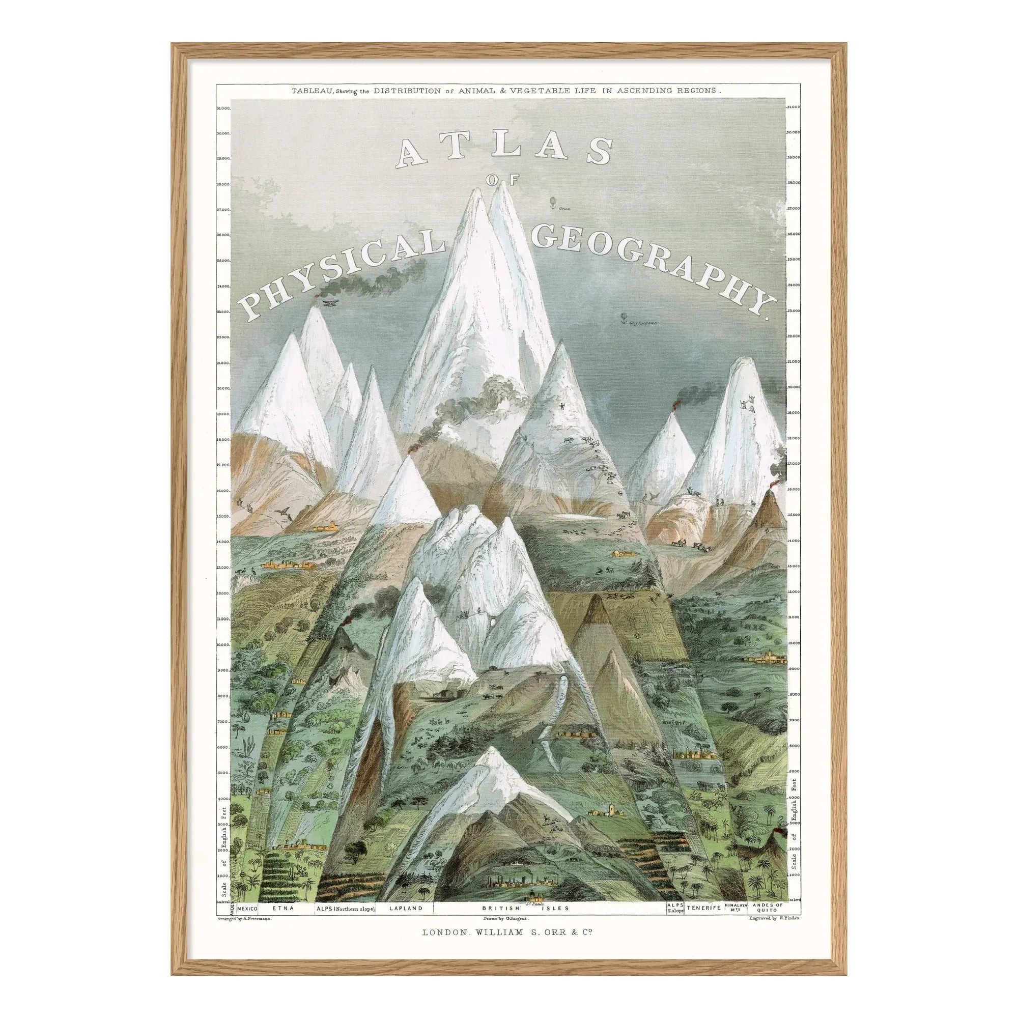 The Dybdahl Co. - Poster Physische Geografie Atlas
