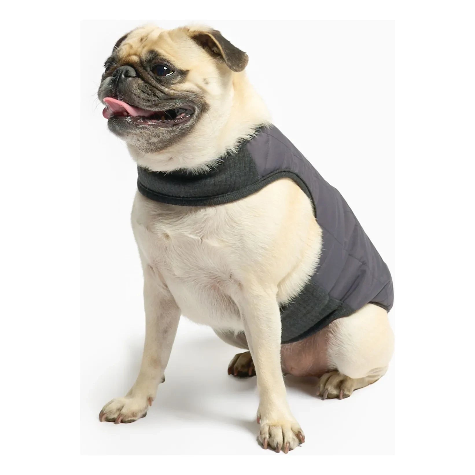 The Furry Folks - Wendbare Pufferjacke | Schwarz