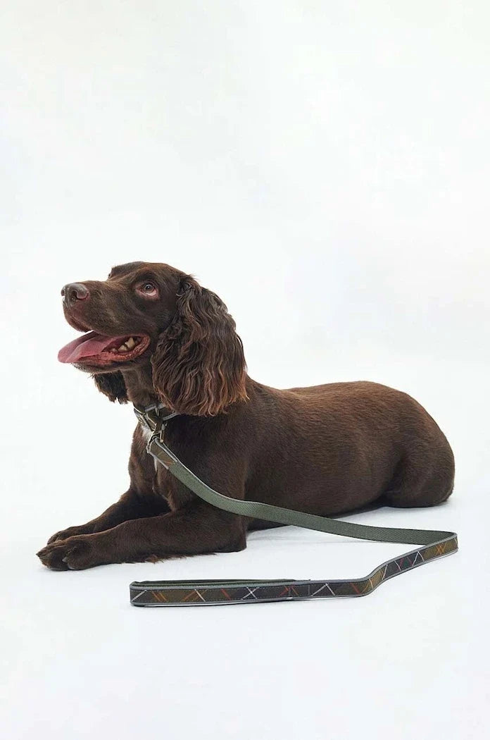 Barbour Köpek Tasması