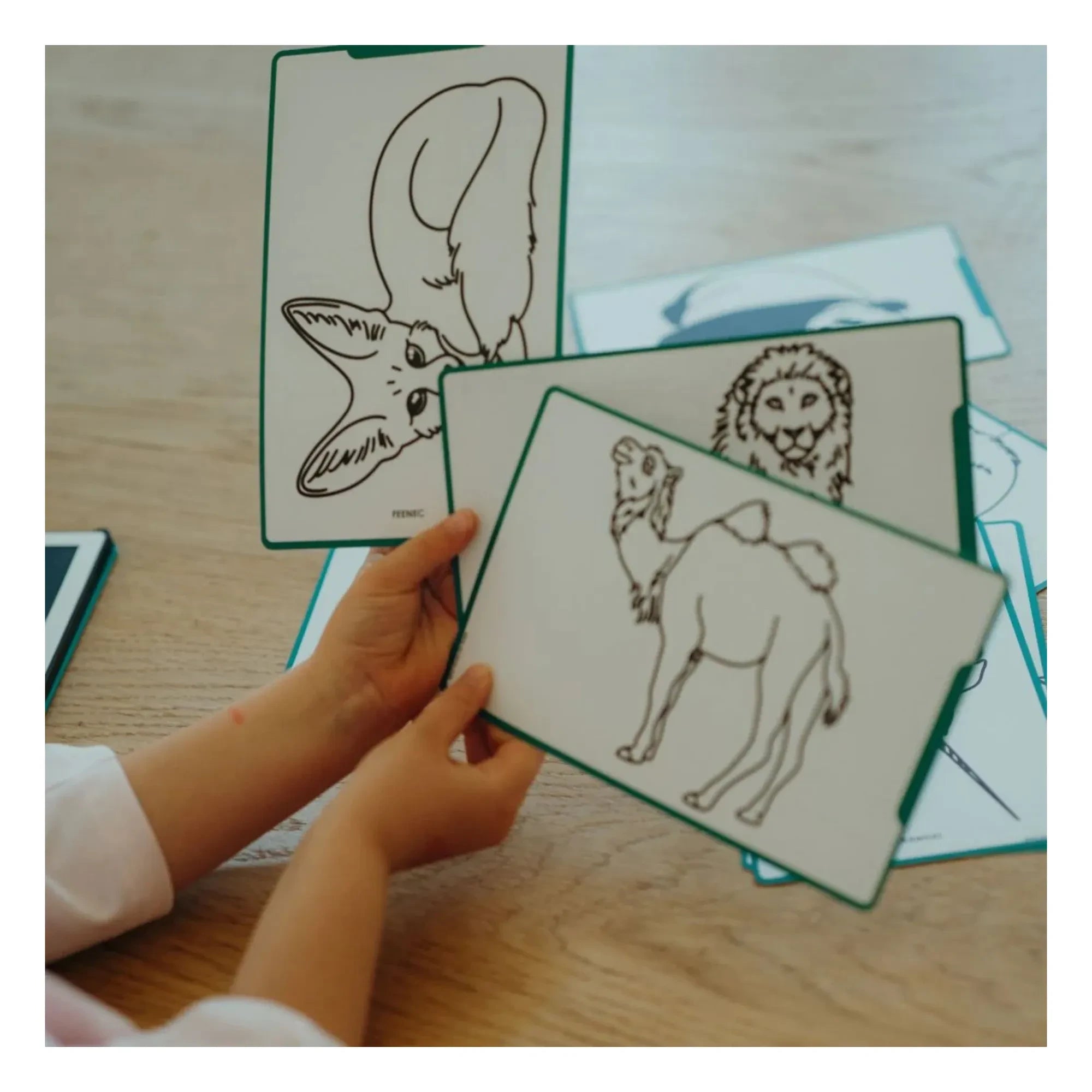 Kidywolf - Kidydraw Mini Zeichentafel | Dunkelgrün