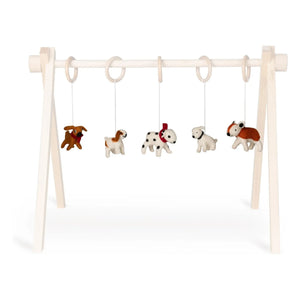 Quax - Hundegurt Spielzeugset