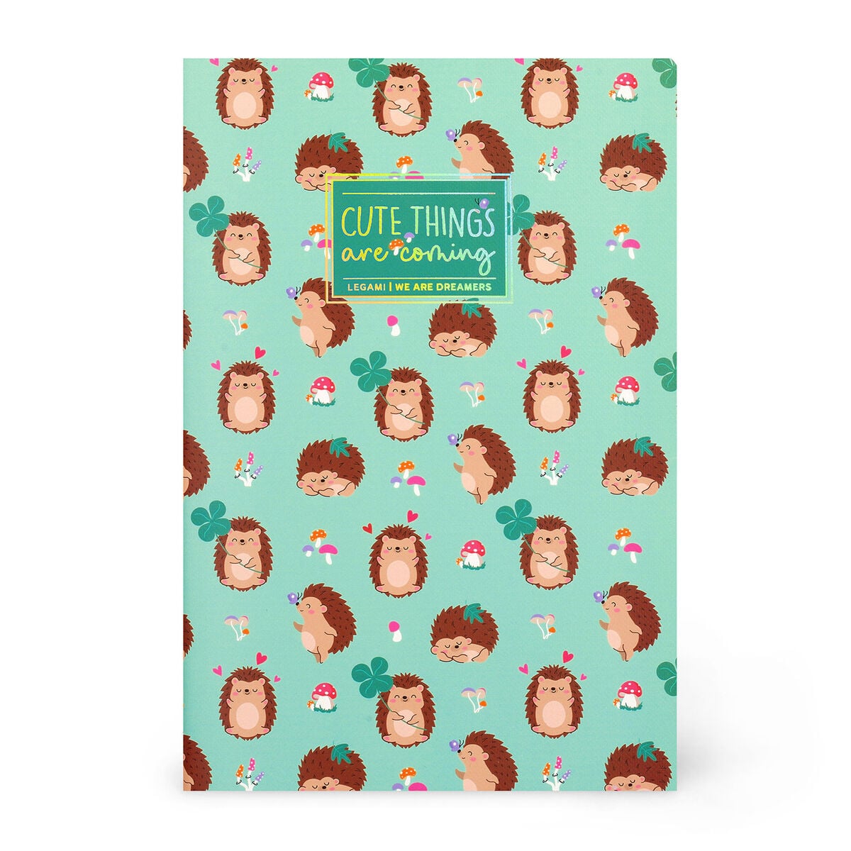 Legami - B5 Lined Defter ile Illustrated Hard Kılıf - Hedgehog