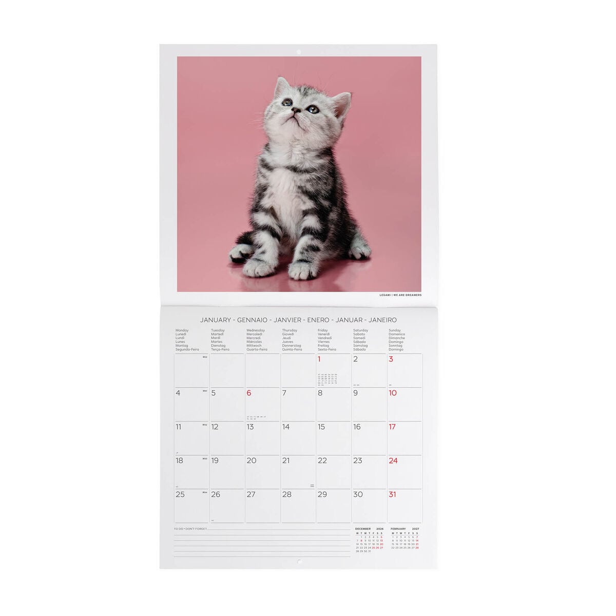 Legami - Kittens 2027 Wall Takvim - 30 x 29 cm