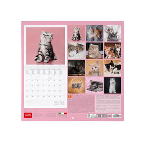 Legami - Kittens 2027 Wall Takvim - 30 x 29 cm