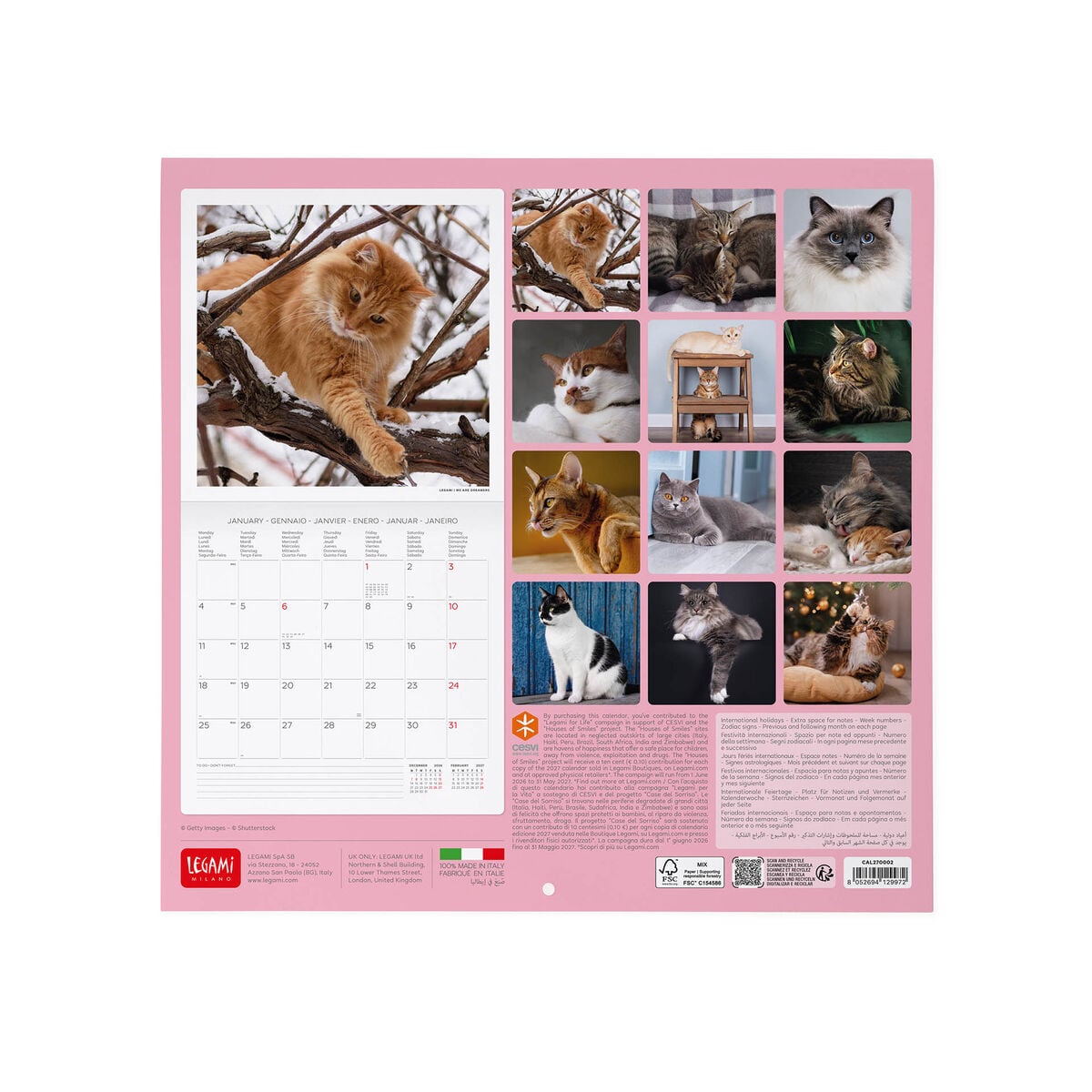 Legami - Cats 2027 Wall Takvim - 30 x 29 cm