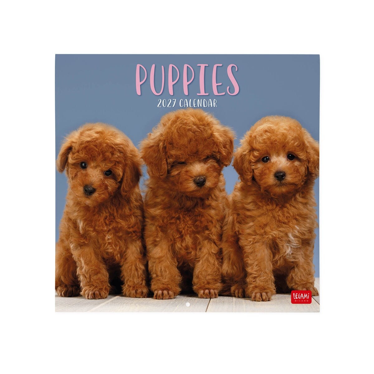 Legami - Puppies 2027 Wall Takvim - 30 x 29 cm