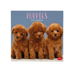 Legami - Puppies 2027 Wall Takvim - 30 x 29 cm