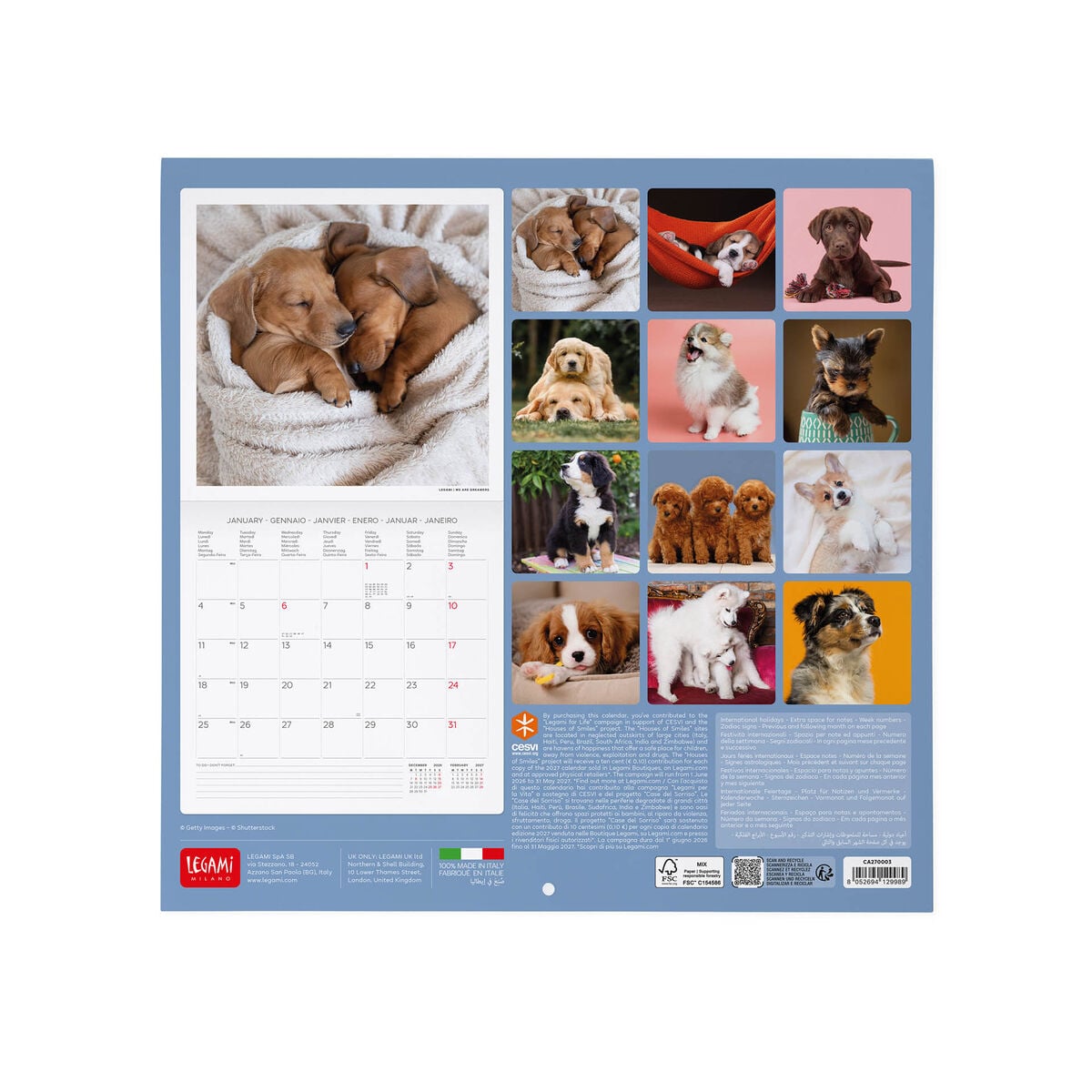 Legami - Puppies 2027 Wall Takvim - 30 x 29 cm
