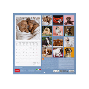 Legami - Puppies 2027 Wall Takvim - 30 x 29 cm