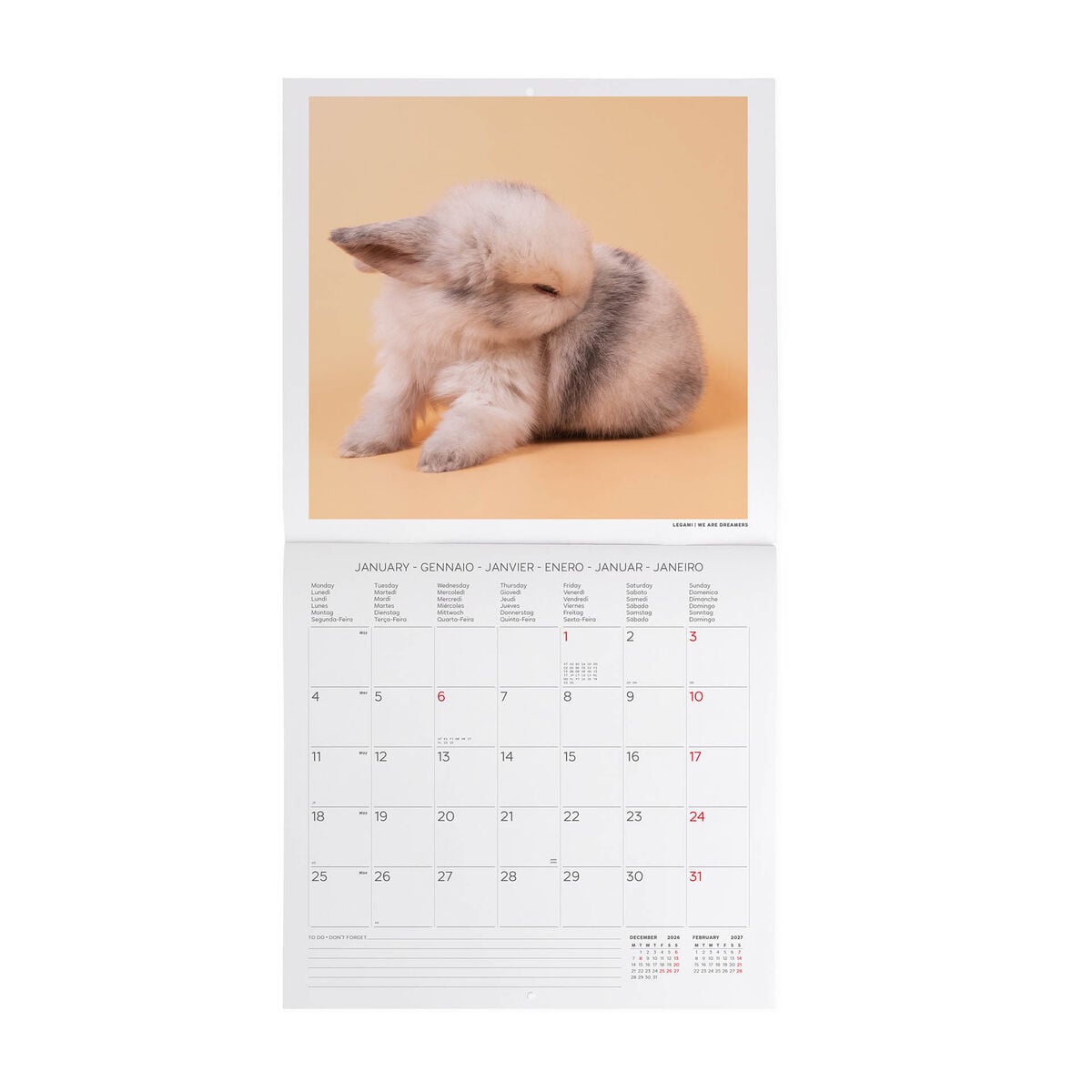 Legami - Honey Tavşan 2027 Wall Takvim - 30 x 29 cm