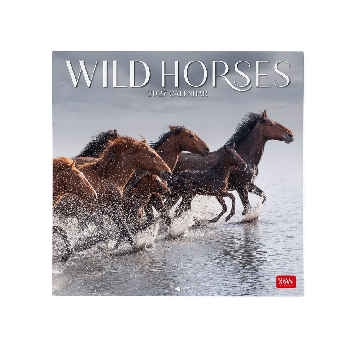 Legami - Wild Horses 2027 Wall Takvim - 30 x 29 cm