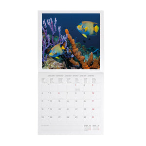 Legami - Under Sea 2027 Wall Takvim - 30 x 29 cm