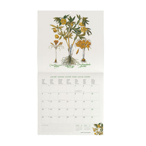 Legami - Herbarium 2027 Wall Takvim - 30 x 29 cm
