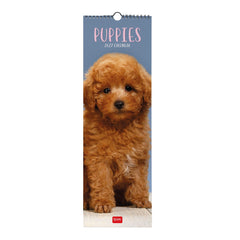 Legami - Puppies 2027 Wall Takvim - 16 x 49 cm