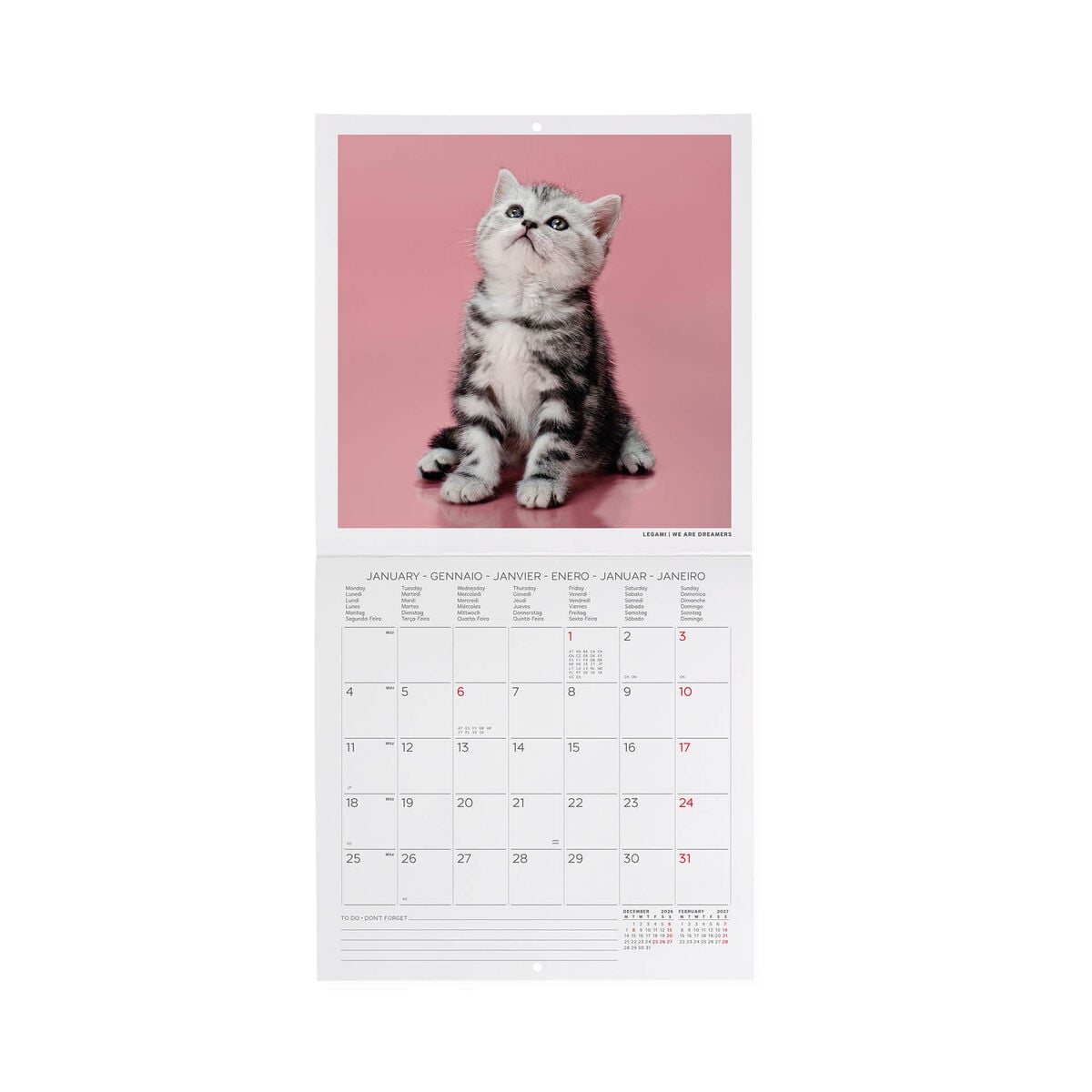 Legami - Kittens 2027 Wall Takvim - 18 x 18 cm